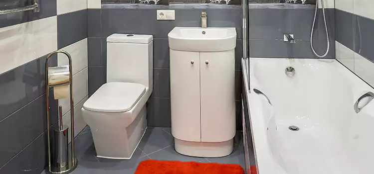 Hansgrohe Shaving Mirror Englewood